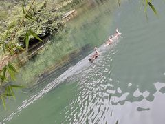 -靖西鹅泉风景区
