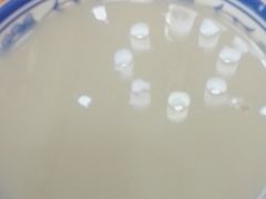 -隆福寺小吃店(东四店)