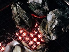 -崇明东平国家森林公园烧烤房车露营地