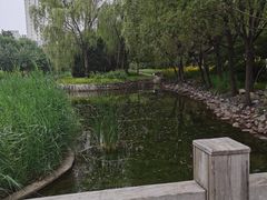 -望湖公园
