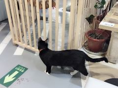 -小时光咖啡馆(开森度假森林店)