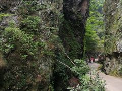 -夏霖九天银瀑风景区