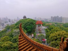 -黄鹤楼公园(黄鹤楼)