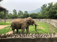 -西安秦岭野生动物园