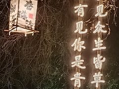 -十亩森林