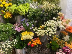 -植物学家的女儿(北马道巷店)