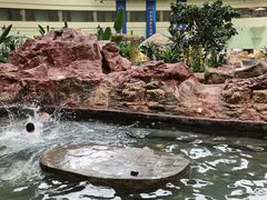 -青岛海泉湾度假区温泉