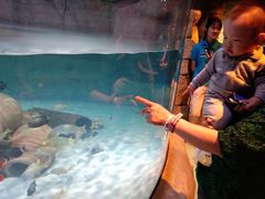 -沈阳海洋探索中心