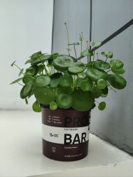 -无界瑜伽普拉提