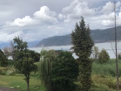 -才村湿地公园