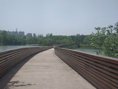 -昆山城市生态森林公园