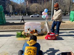 -超宠爱宠物摄影-Super pet