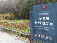 -延安杨家岭革命旧址