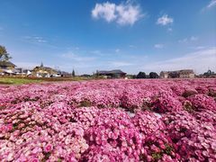 -中国天府农业博览园