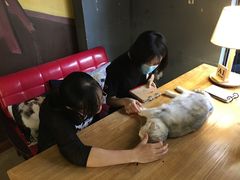 -咖法森林·咖啡  酒吧(天河店)