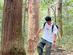 -天目山大树王景区