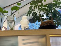 -长风拨筋养身(金虹桥店)