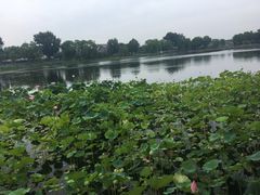 -郭守敬纪念馆