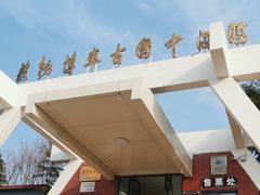 -古车博物馆