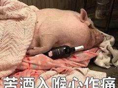 -千滋百味·醉江澜花园餐厅(街道口店)