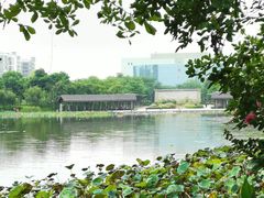 -映月湖公园
