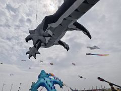 -潍坊滨海云门国际风筝放飞场