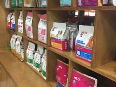 -佳雯宠物医院(四明中路分院)