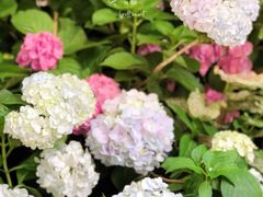 -花二家·生活馆(六运小区店)