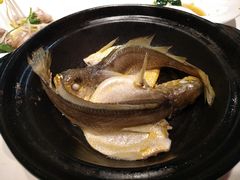 清煲黄花鱼-百味馆·粤菜·湛江菜(后海花园店)