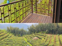 -长沙黑麋峰国家森林公园