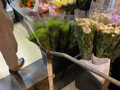 -三圣花乡旅游区