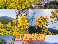 -东湖生态旅游风景区