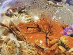 -半岛听涛蒸汽海鲜自助(K11店)