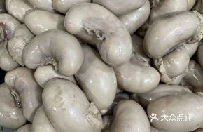 Goose Kidney