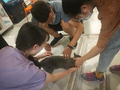 -不止轰趴桌游麻将台球(立水桥店)