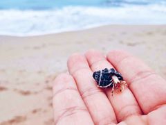 -白沙湾海滩