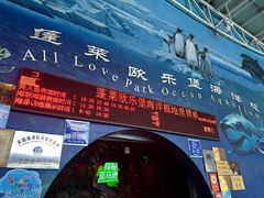 -蓬莱欧乐堡海洋极地世界