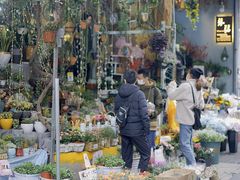 -循礼门鲜花花市(武汉循礼门店)