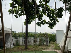 -安德鲁户外烧烤帐篷营地(马泉营店)