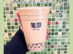 -茉沏(光启城店)