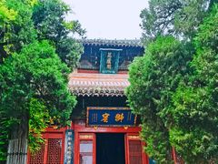 -洛阳白马寺