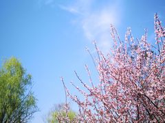 -石塘人家