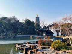 -红梅公园
