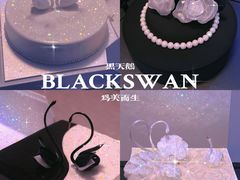 -BLACKSWAN黑天鹅(环球店)
