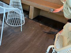 -Takapuna Beach Cafe