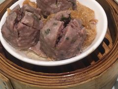 -南枝记
