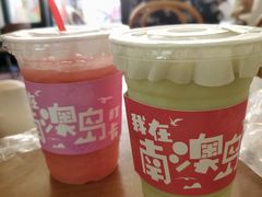 -南澳岛打卡果汁冰公司