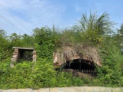 -桤木河湿地公园