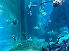 -华夏文旅海洋公园