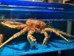 -蟹田居·活蟹料理(东城店)